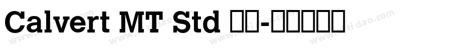 Calvert MT Std 粗体字体转换